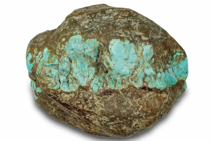 Tumbled Turquoise Specimen - Number Mine, Carlin, NV #260502